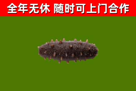 穆棱市烟酒回收干海参.jpg